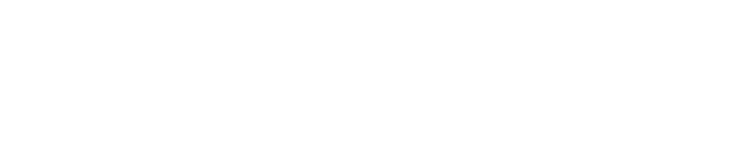 VidSummit