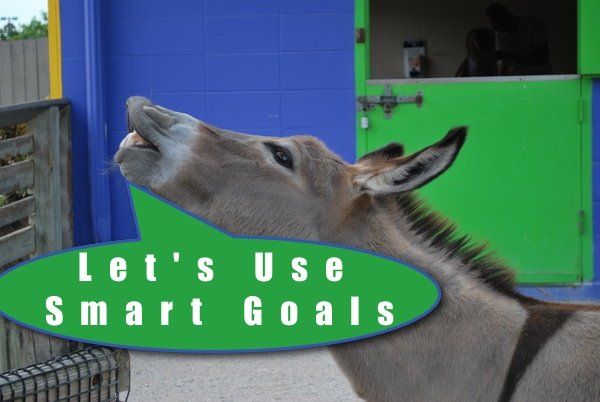 A donkey in a birthday hat, captioned about Smart Goals